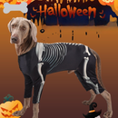 Halloween Glow Skeleton Dog Pajamas
